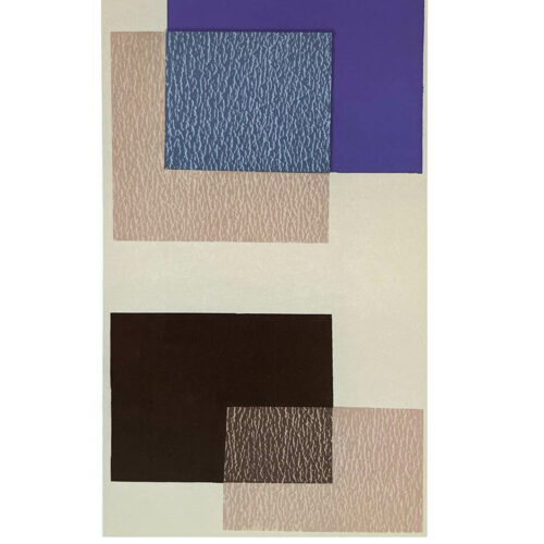 2009 Josef Albers The Interaction of Color Plate IX-3
