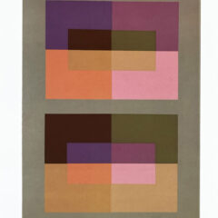 2009 Josef Albers The Interaction of Color Plate XIV-3
