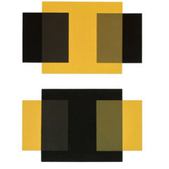 2009 Josef Albers The Interaction of Color Plate XI-1