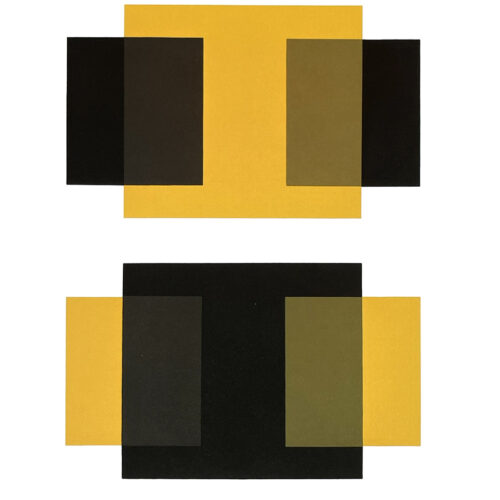 2009 Josef Albers The Interaction of Color Plate XI-1