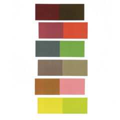 2009 Josef Albers The Interaction of Color Plate XXI-1