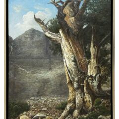 Joseph Merhi Bristlecone-pine Original oil Painting on Canvas Framed