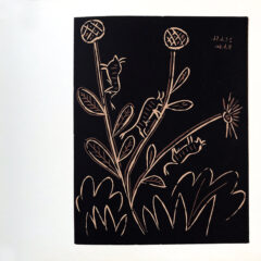 Pablo Picasso 45 Plante Aux Toritos