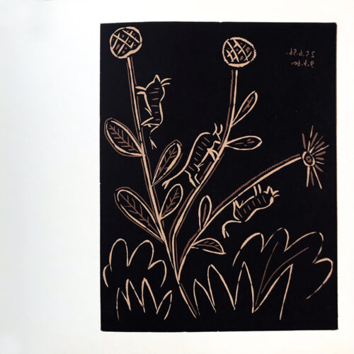 Pablo Picasso 45 Plante Aux Toritos