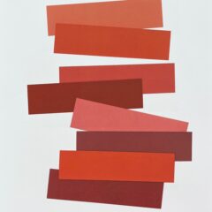 2009 Josef Albers The Interaction of Color Plate V-3-Red