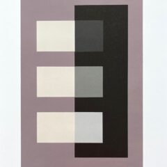 2009 Josef Albers The Interaction of Color Plate XI-2