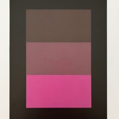 2009 Josef Albers The Interaction of Color Plate XV-2