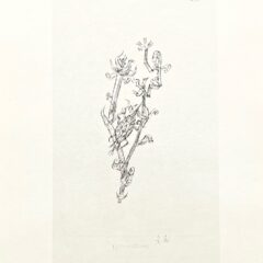 1947 Paul Klee Engraving 22 Grant Aphis 1920