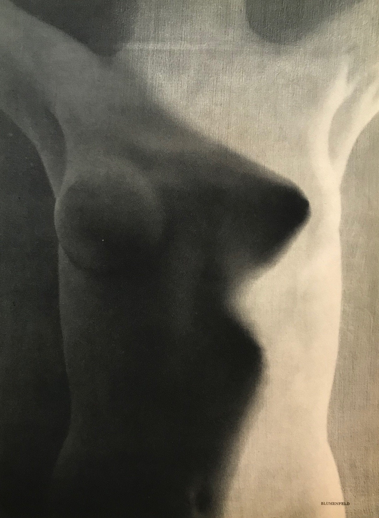 Erwin Blumenfeld, Phhotogravure No. 1, Verve 1939
