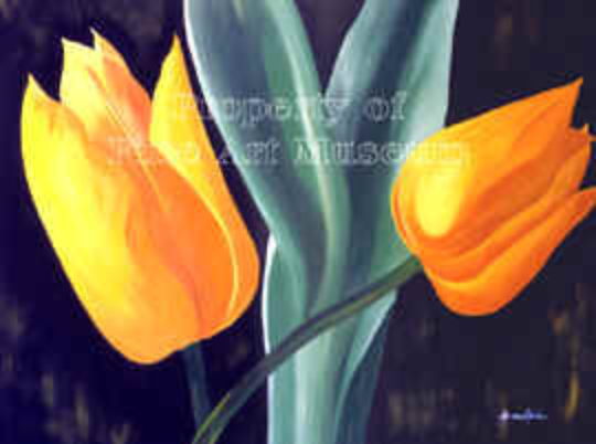 Grace Absi Yellow Tulip L. E. signed & numbered