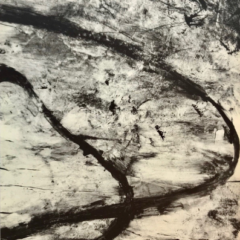 Jose-Maria Sicilia original lithograph N7-3 Noise 1988