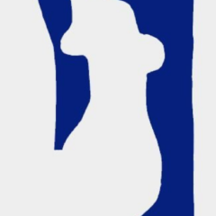 Matisse lithograph "Blue Venus" 1083