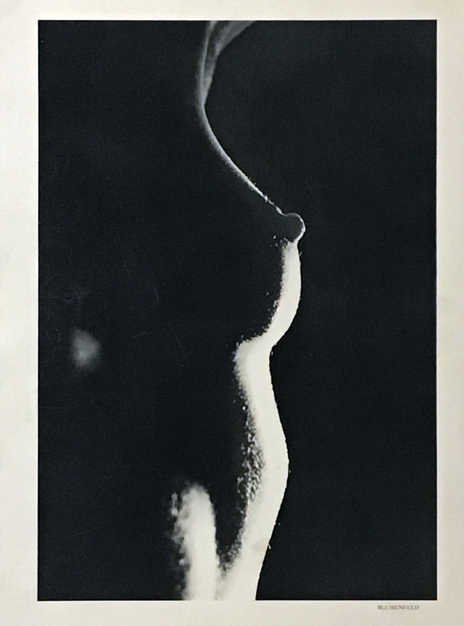 Erwin Blumenfeld, Photogravure No.4, Verve 1939