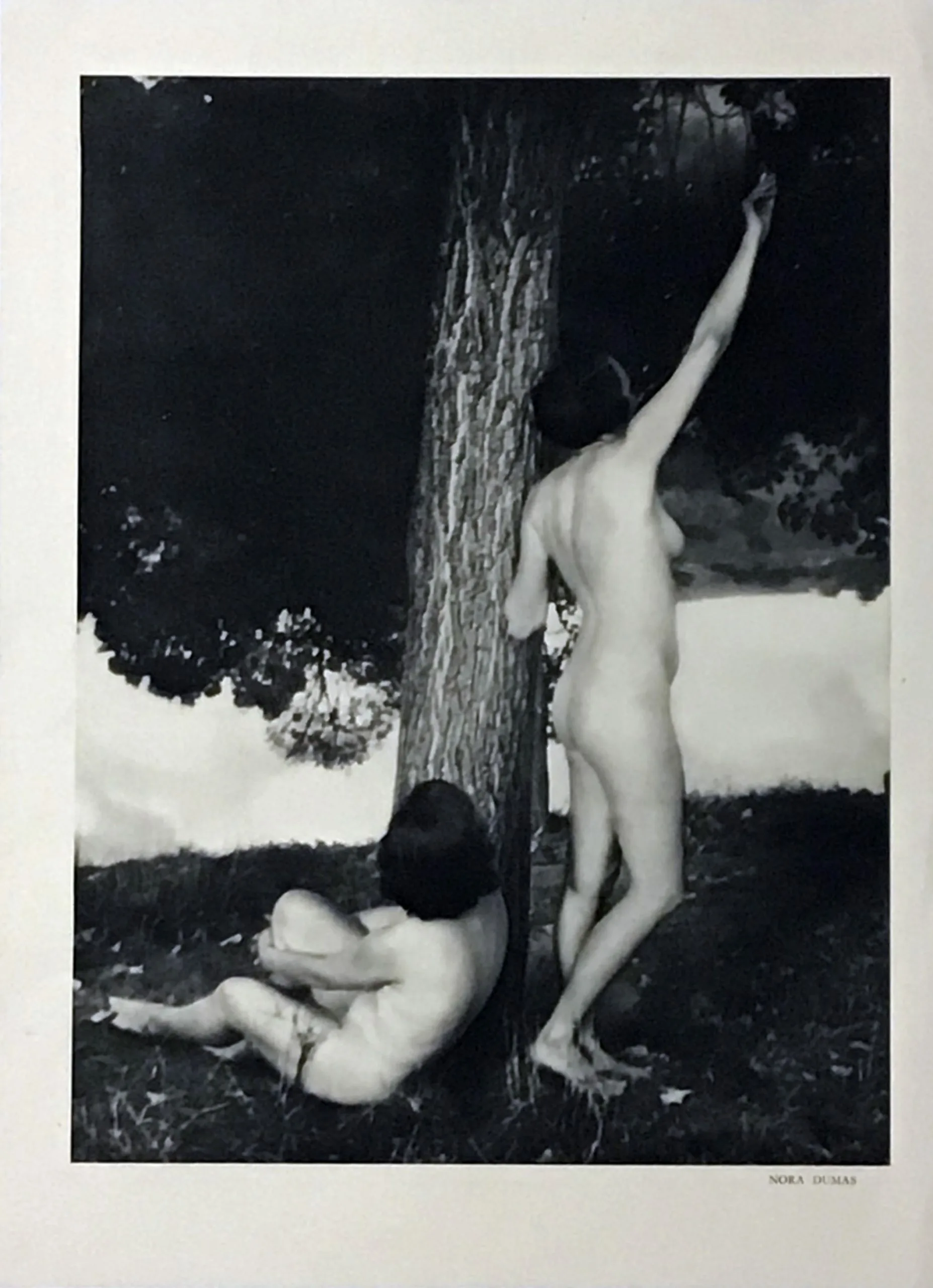 Nora Dumas Photogravure No. 1, Verve 1939