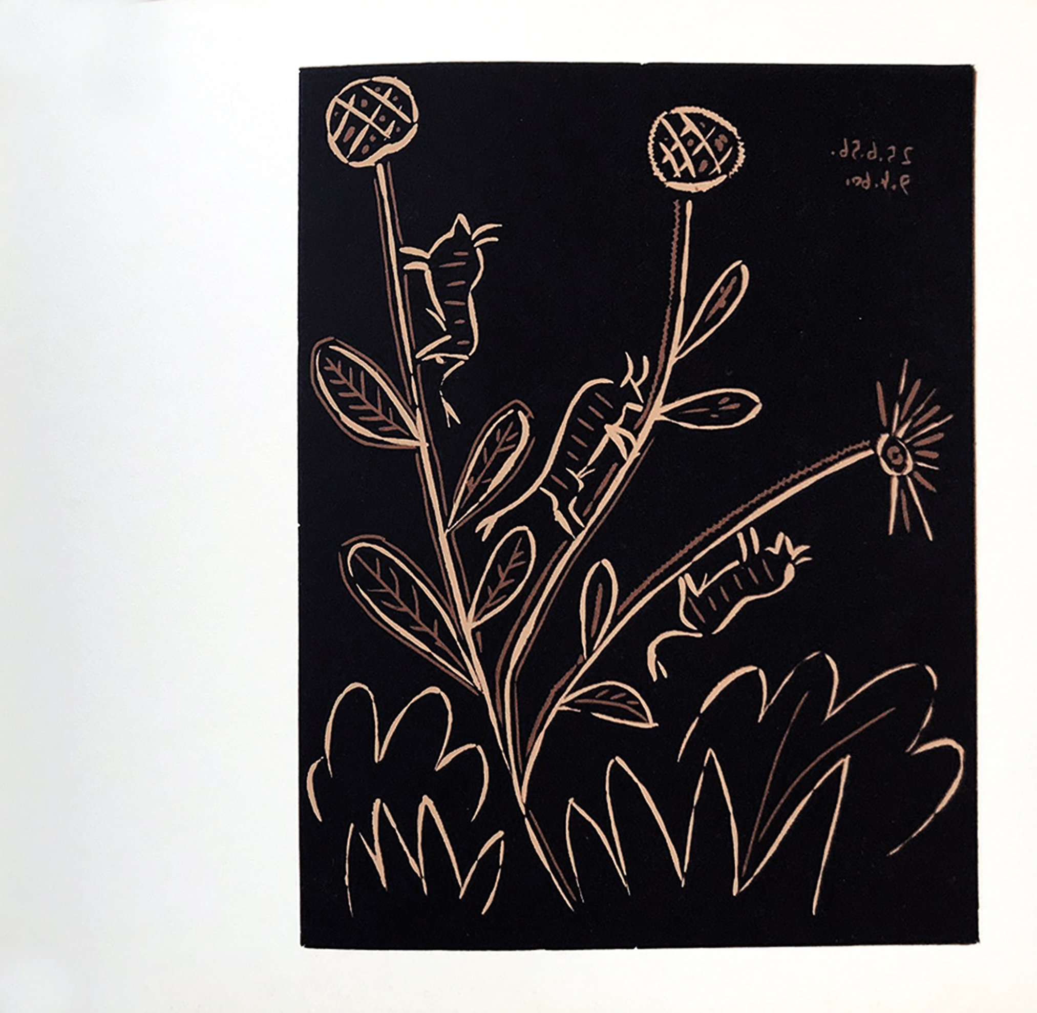 Pablo Picasso 45, Linogravures Plante aux toritos 1962